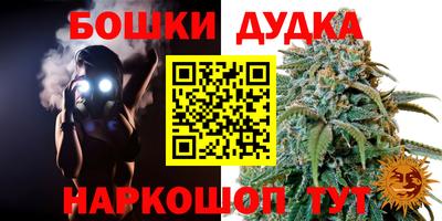 МДПВ Рыбинск